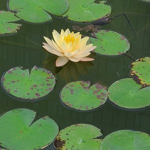 Meet your Posher, Vicky